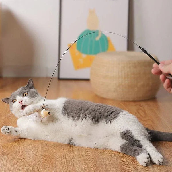 Interactive Cat Toy for Hours of Entertainment.